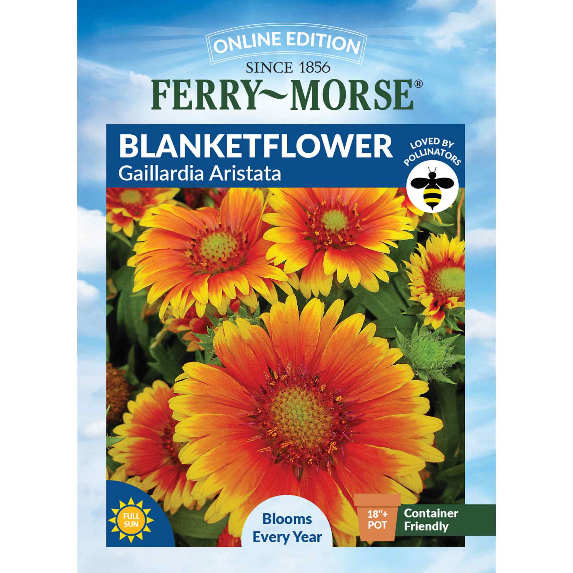 Blanketflower front of packet